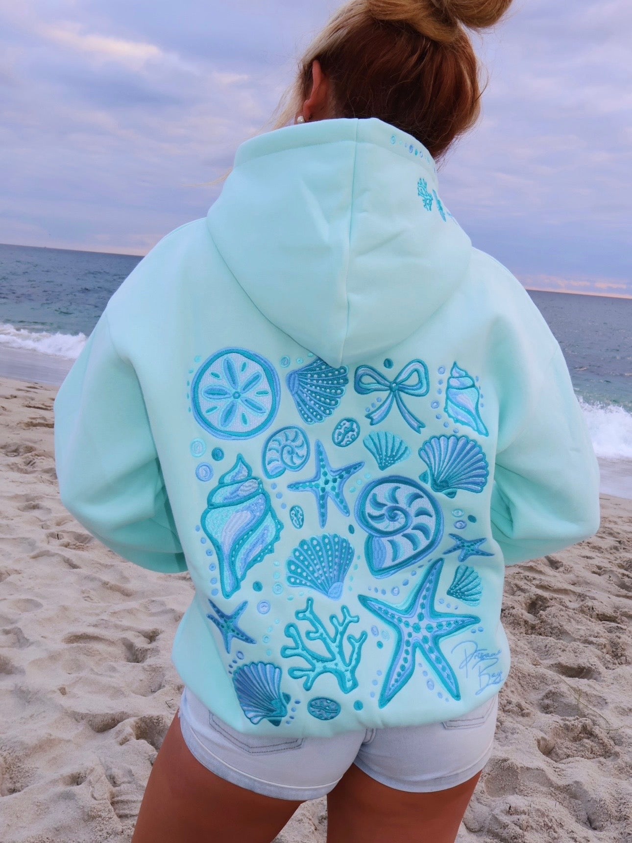 Coastal Hoodie in Aqua
